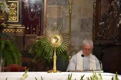 Wislica_fot_Dawid_Jedrzejczyk-18